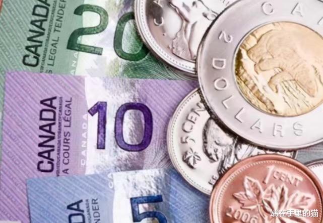 澳大利亚 半个加拿大或将破产,澳铁矿石价格暴涨,澳大利亚人终于得意了?