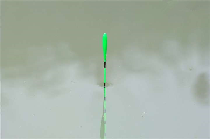 |调漂这个事,其实就是两句话,搞明白有鱼无口和有口无鱼就行了