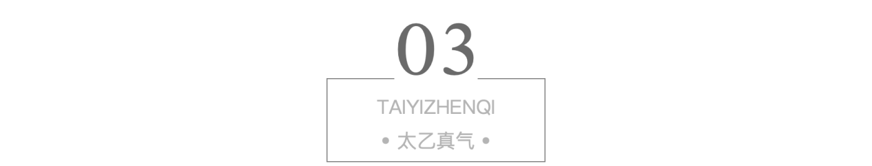 太乙真气 进村东北虎的萌爪一拍车窗破碎，老虎一掌有1000公斤力，武松打虎是假的还是有科学依据？