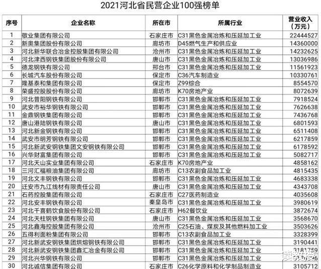 河北第一大民營企業：力壓新奧集團、長城汽車，營收首次超2000億-圖4