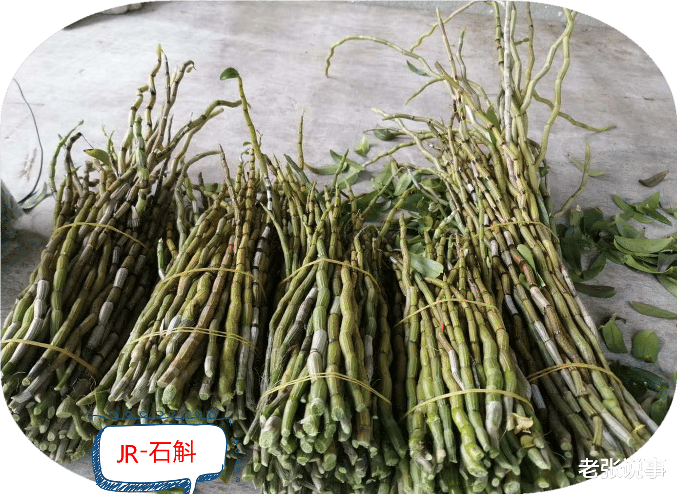 老张说事 进补时节 四大补益佳品 人参 红参 西洋参 铁皮石斛你该怎么吃