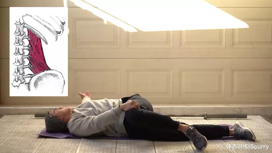 贫血|?11个拉伸动作,彻底解决“腰部”疼痛僵硬、还你一身轻松!