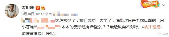 宋祖德|宋祖德再曝好消息：已成功一大半，林生斌只是老虎后面的小苍蝇