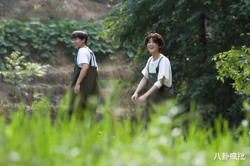 鹿晗|?吴签案开庭？鹿晗彭昱畅争番位？《风洛》清理评分？李纯不火？