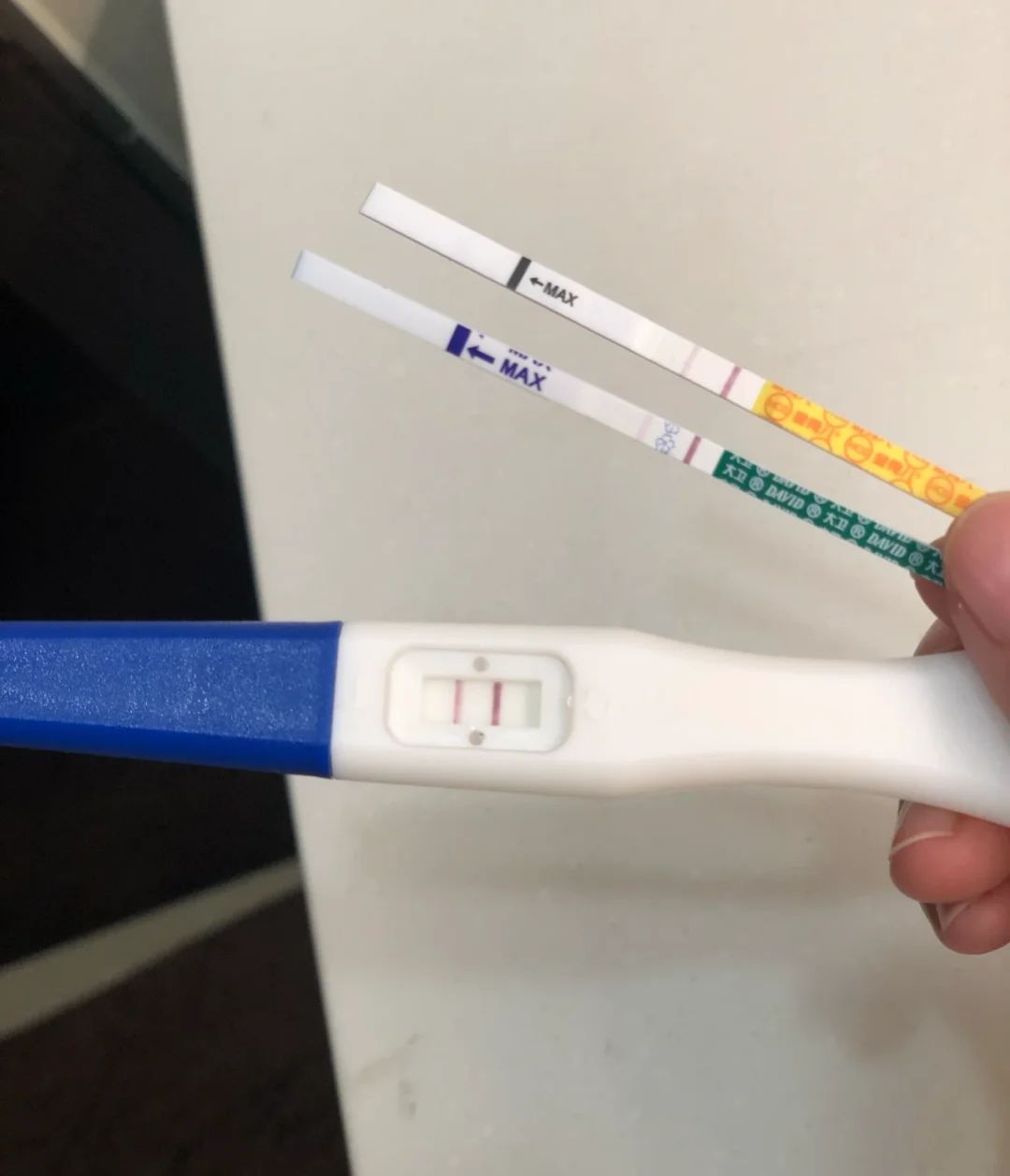 猪先生的李小姐 传好孕！备孕一年，竟然意外怀上，虎宝宝来了