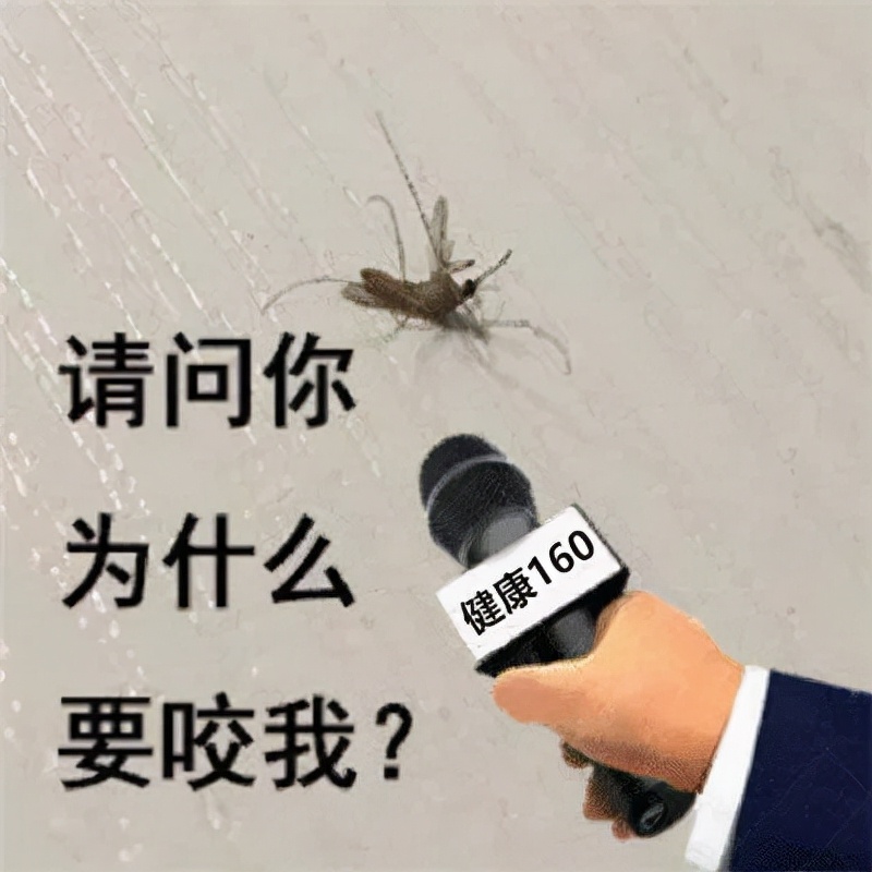 蚊子 为什么你总被蚊子叮上？学会这些招，蚊子转身咬别人