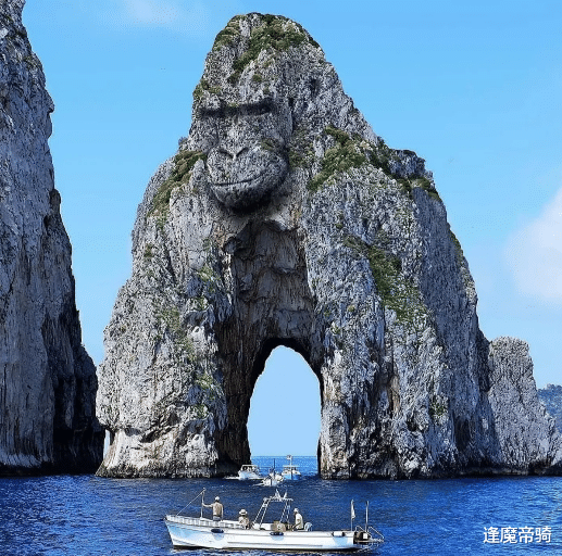 赛亚人|源自大自然的cosplay，大山、小岛化身动物，你都看得出来吗？