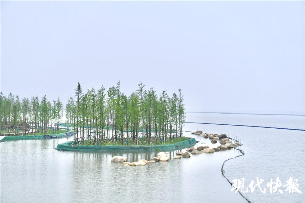 现代快报 犇跑吧长三角丨打卡新晋网红桥：哇，我左脚在上海，右脚在江苏