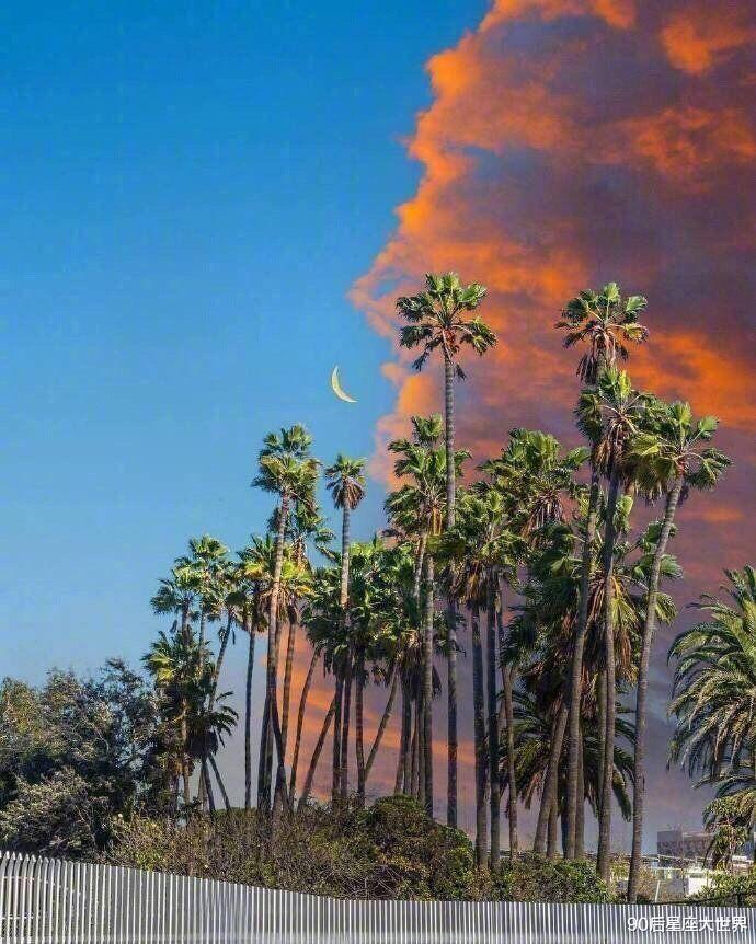 星座性格|职场中，容易令人感到放心的3个星座，办事非常稳妥