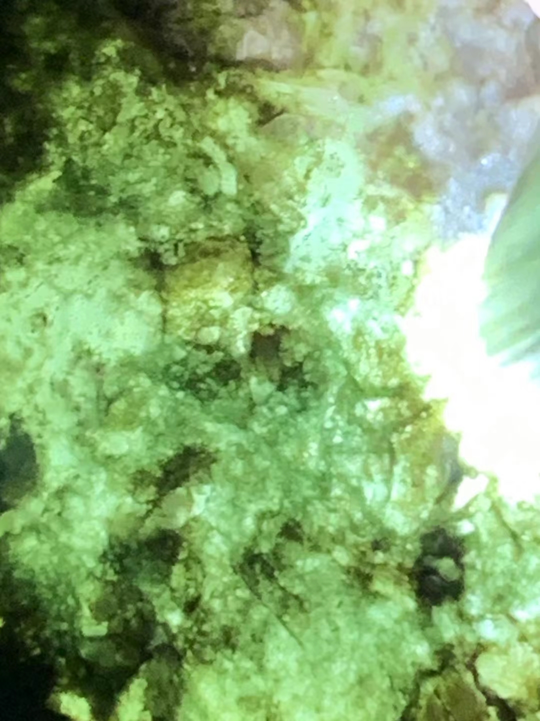 翡翠手镯|翡翠手镯的鉴别方法