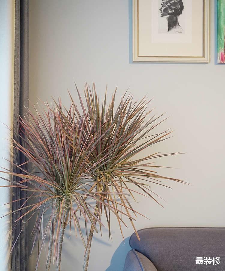 72平，两人两猫，虽然家不大却足够温馨，随手一拍就很舒服！