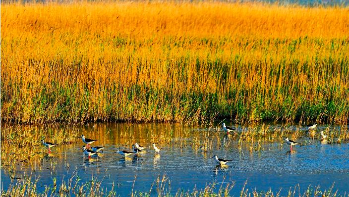 长脖子爸比说|山西一新景区，以伍姓命名，古文化发源地之一，来这还能寻根问祖