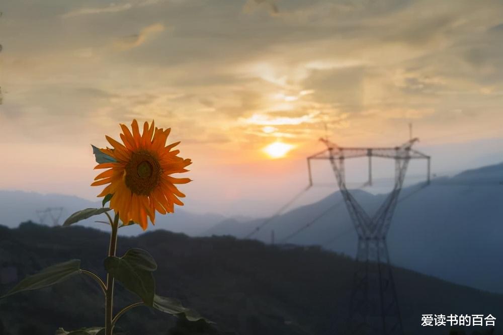 科学家 受噪声干扰,容易犯两种思维上的错误,希望你一个也没有