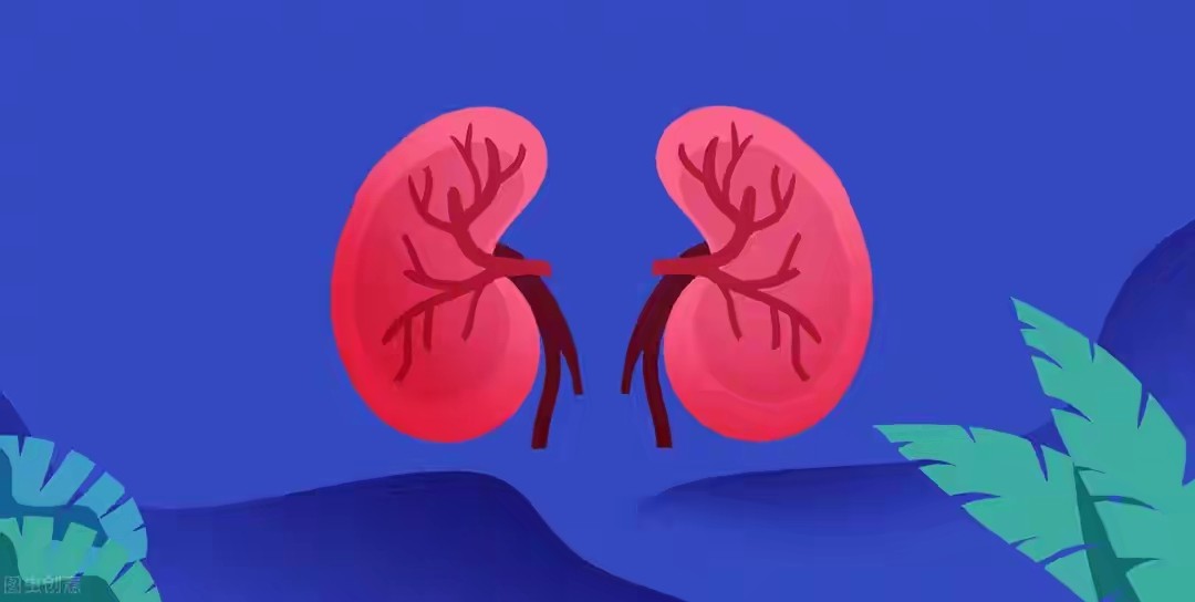 iphone4|94年小伙卖肾买苹果手机，获赔上百万，10年过去了，现状令人唏嘘