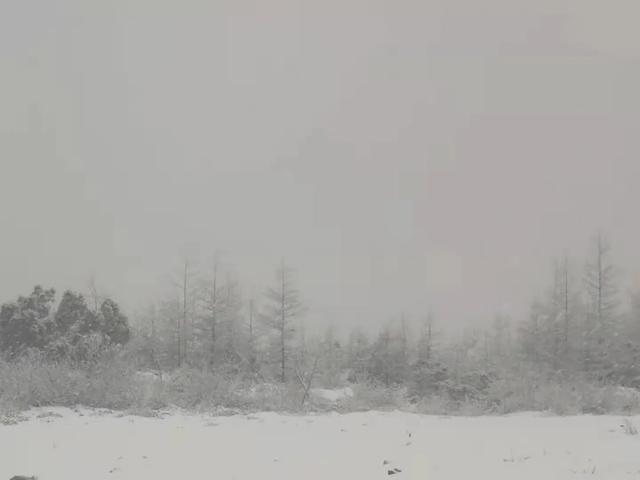 自驾 立夏！黑龙江这里鹅毛大雪，下了14个小时
