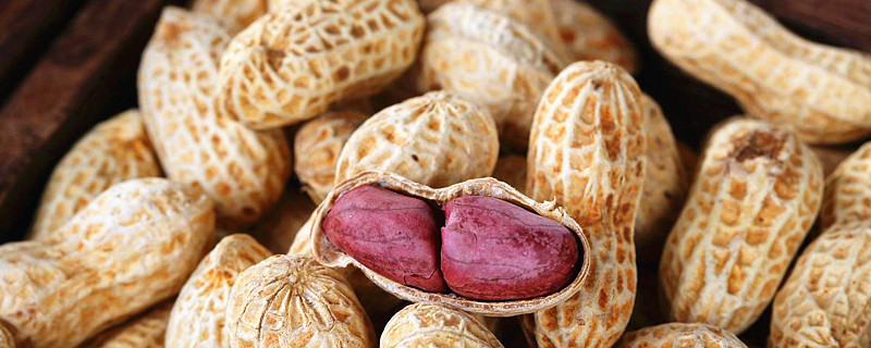 花生|花生叶治疗失眠有奇效