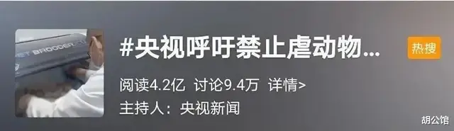 反虐待动物立法,需要你我的发声!