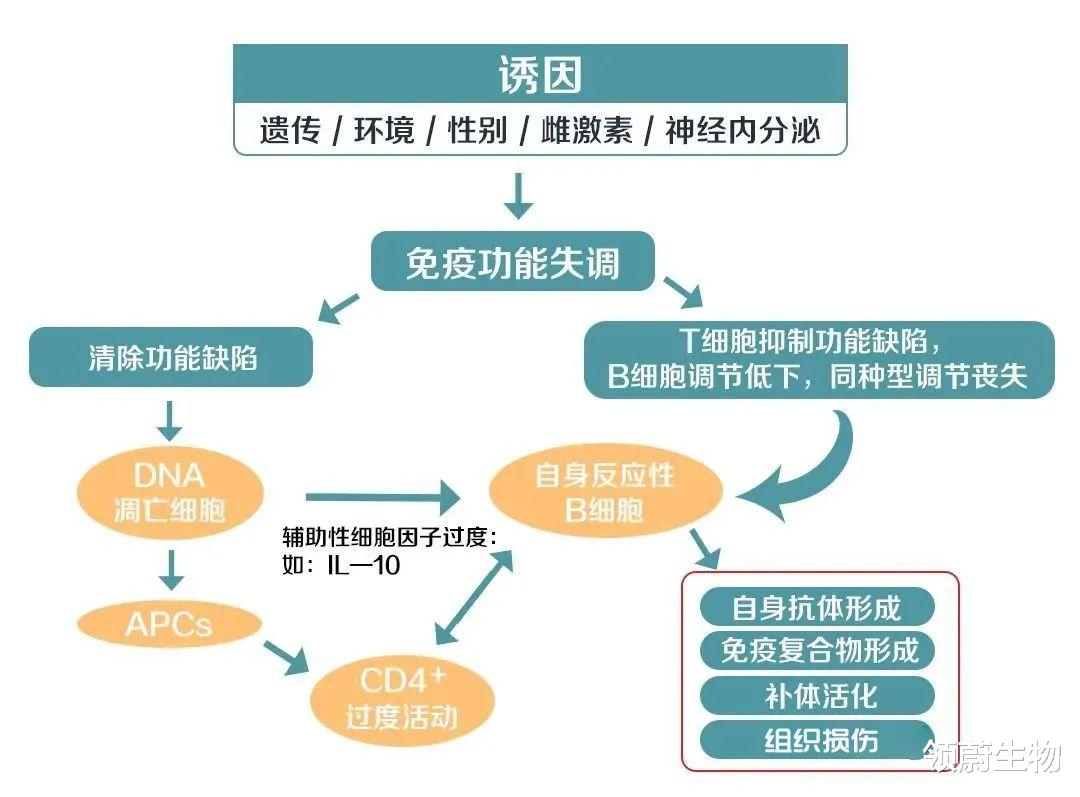 云南|干细胞治疗红斑狼疮完成1132例，喜获国家技术发明二等奖