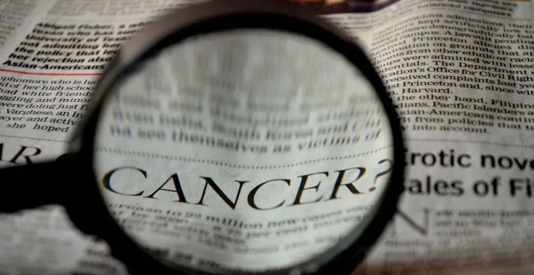 Cancer Cell:所有癌症可简单分为两大类,根据是否表达YAP蛋白