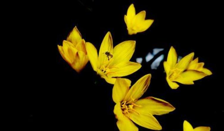 财神到|未来4个月，鸿运来财神到，头顶祥云不散，困境变顺境，得财得权