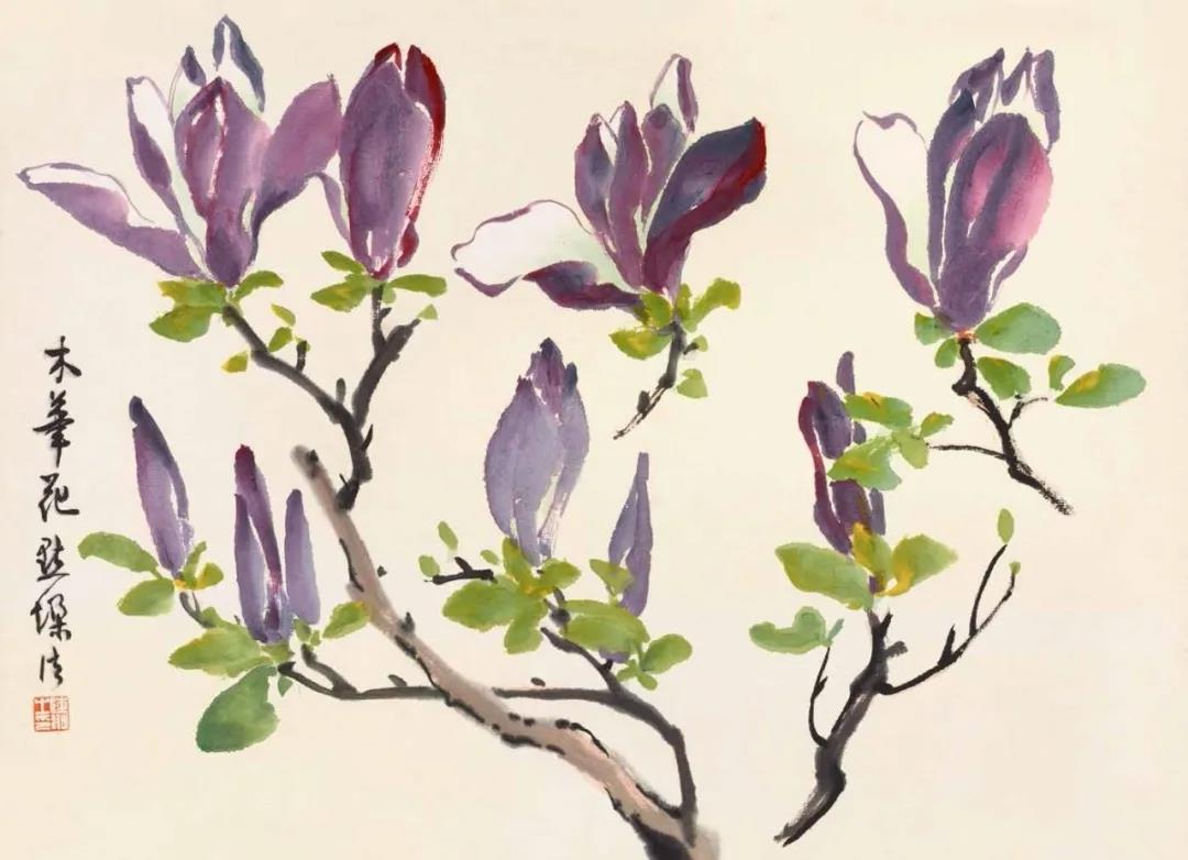 兰瑾轩学艺 花卉怎么画？不如跟着陆抑非的花卉课稿学习吧