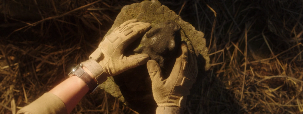 云南虫谷|稳！准！狠！每集时间太短，不过瘾