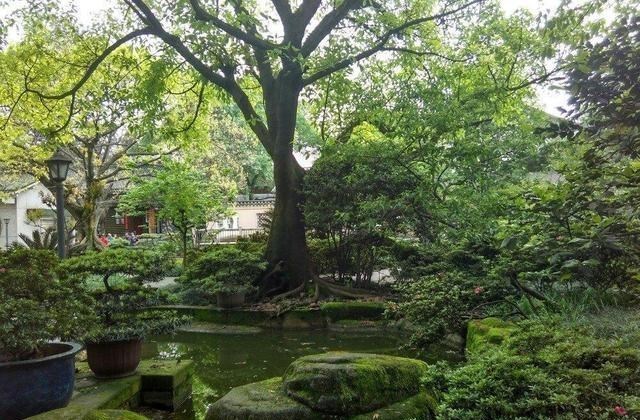 重庆 国内从不宰客的旅游城市，景点几乎不收费，消费不高适合穷游