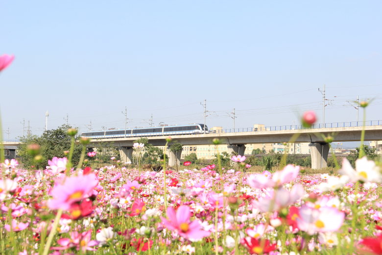 温州身边事 五一期间轨道交通S1线将延长运营时间