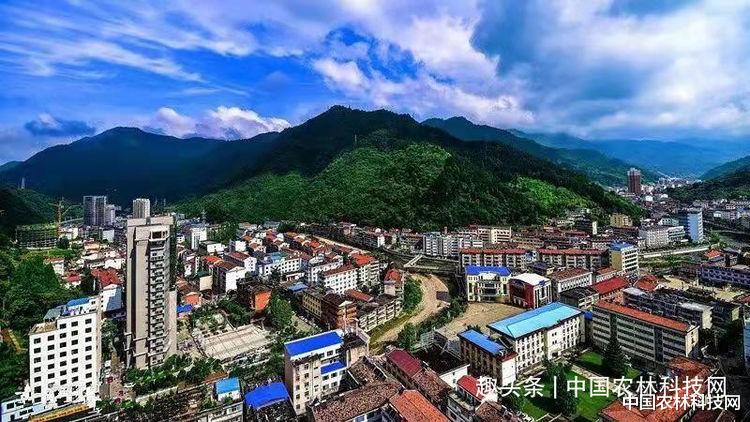 中国农林科技网 中国农林科技网“寻找优质农产品”,走进宁陕