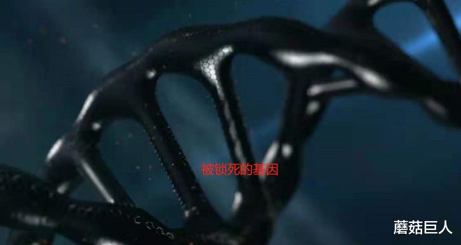 蘑菇巨人|星际麻烦制造者，天龙人的前世今生，在数千万年前布下的万古迷局