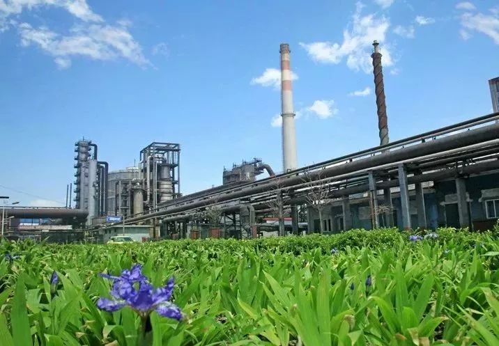 女大学生 再见了宣钢，后会不知何期！