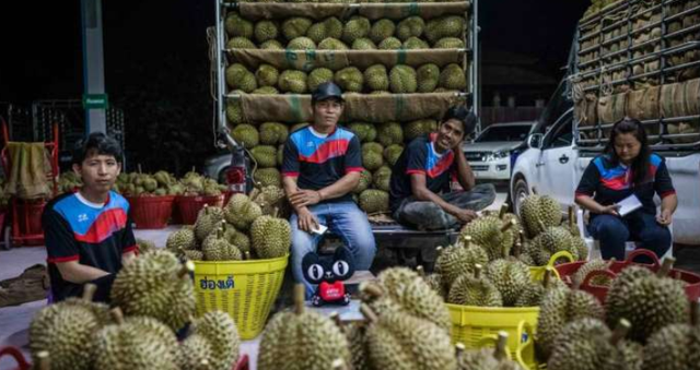  泰国人到中国旅游，买了2个榴莲丢下30块钱就走，老板：你干啥？