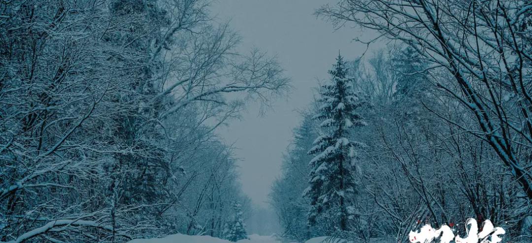 行星秘闻|段奕宏一出手,又是国产剧的巅峰,尺度把握刚好,首播好评一片