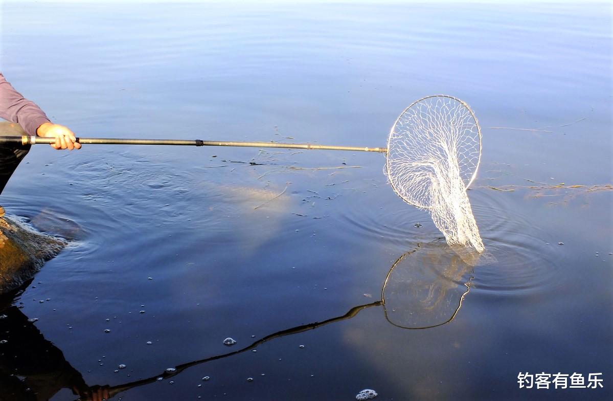 贺先生的恋恋不忘|中鱼太大会切线断竿?注意几方面操作,大鱼稳当上岸