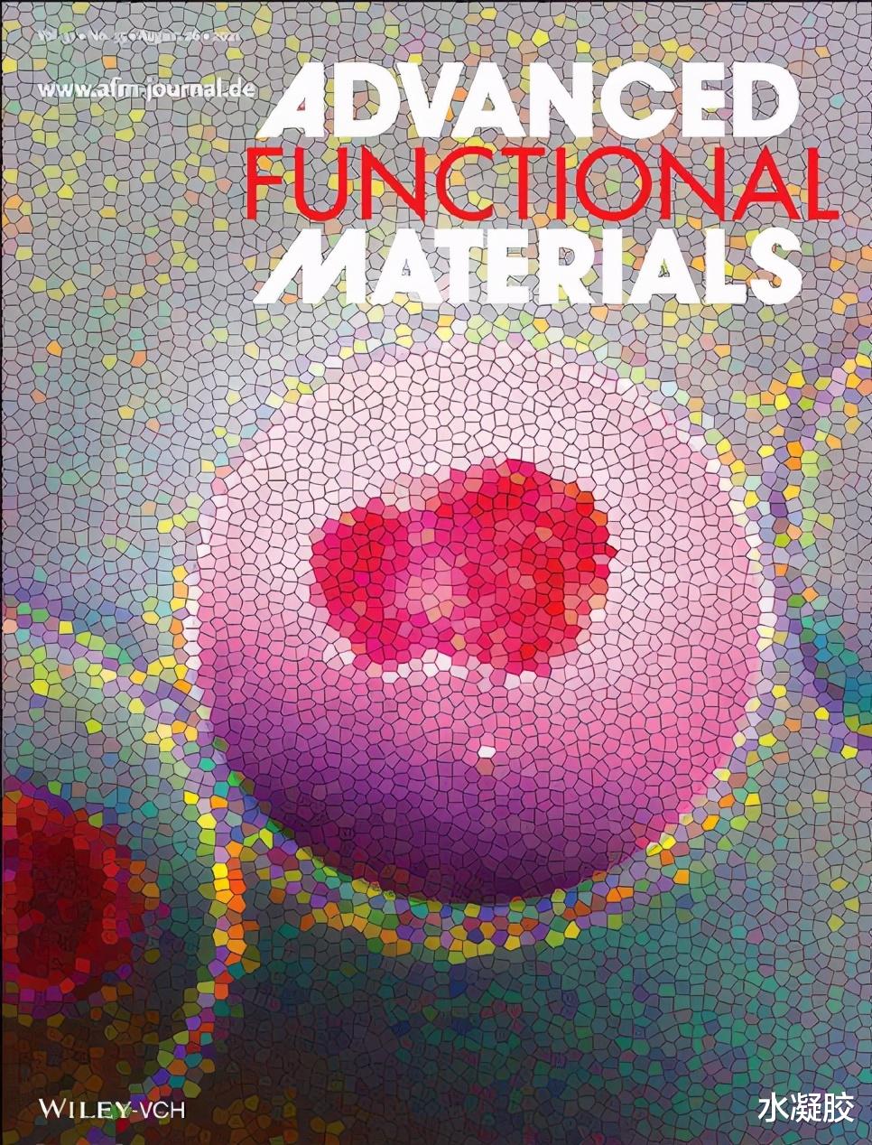 afm ?《AFM》收录了一篇褐藻糖胶水凝胶封面