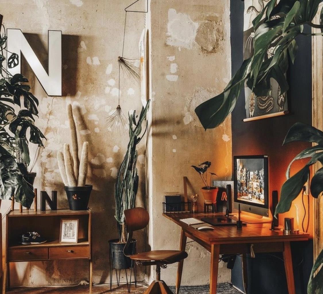 德国女主一人独居,全屋绿植环绕,温暖又治愈,一个人住好幸福!