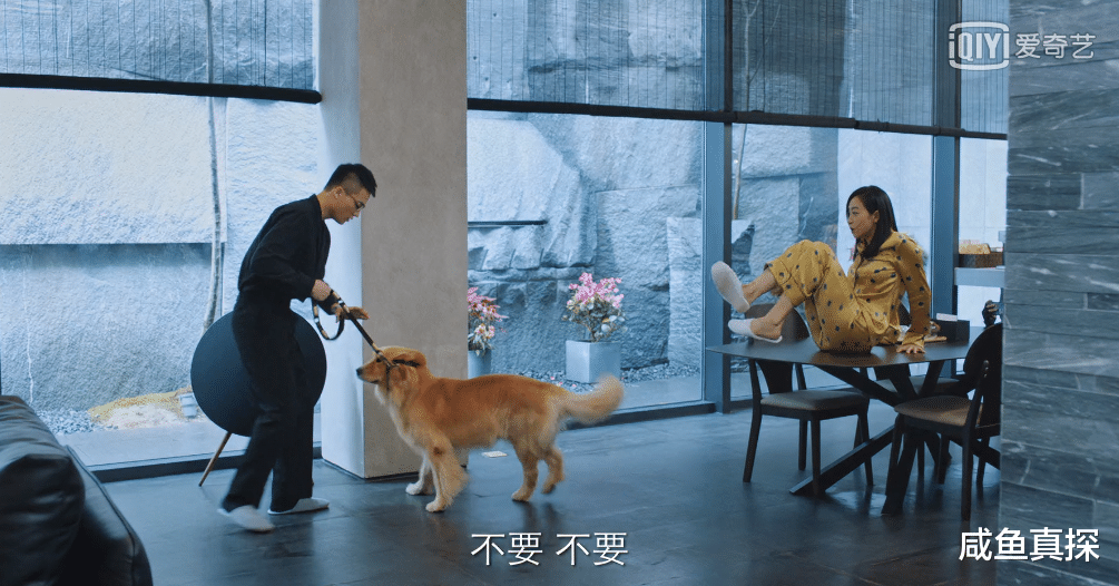 罗芊怡|从神作到翻车，拍过9.2高分剧的他，这部怎么栽了？