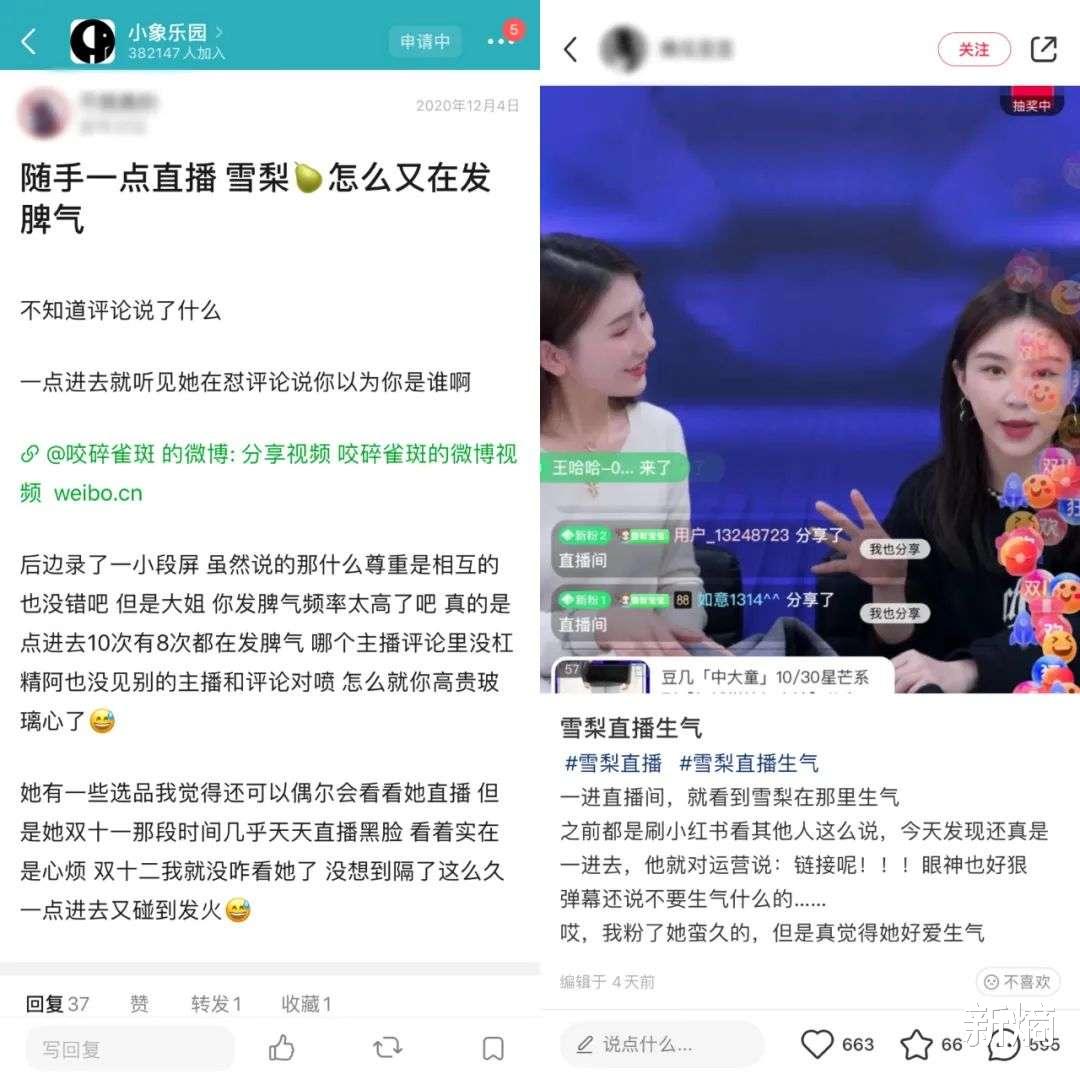 雪梨|“三天一生气，两天一大哭”，雪梨难成直播一姐？