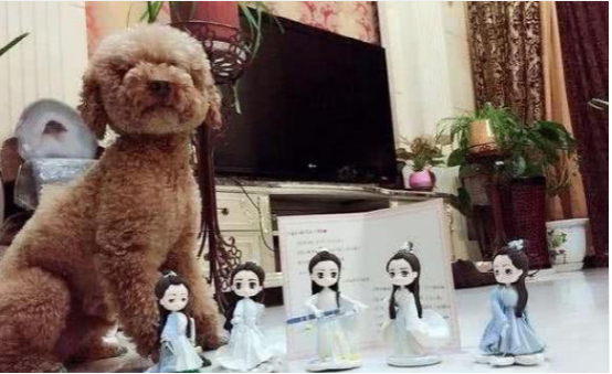 |演员杨紫的居家生活，房子是复式设计，楼梯都是实木打造