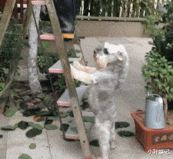 小叶娱记 “卫生间遇到狠人了，请问大哥是在练金肛吗？”