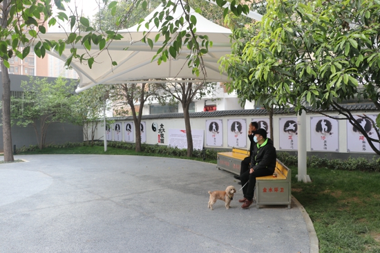 中华网河南 郑州金水区打造“最美”北三环 扮靓城市“颜值” 提升群众幸福感