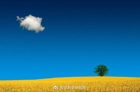 知命命理服务平台|知命独家日运:七月初六吉祥!职场迎风而上,感情适意自然!