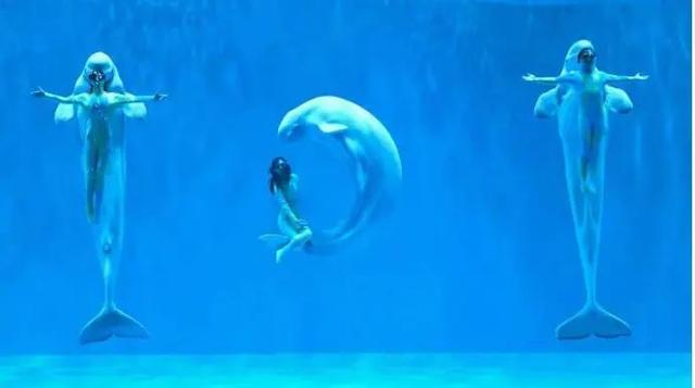 哈尔滨新闻网 动感假日 活力冰城冲一波