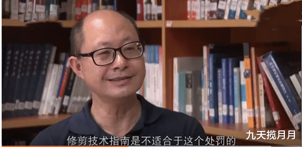 九天揽月月|上海男子修剪自己种的香樟树被罚14万，当事人说很委屈，被抓成典型了