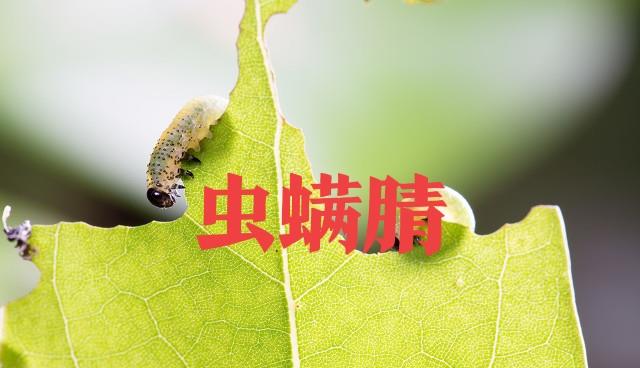 虫螨腈|虫螨腈使用有技巧，不要乱用，否则不仅不死虫，还可能出药害
