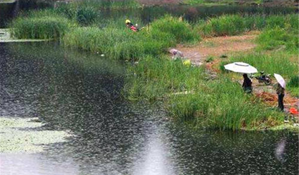 饵料|5月份钓鱼，技巧跟春季有很多不同，钓法要变一变，更容易钓大鱼