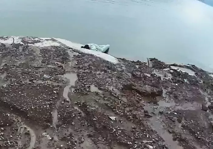 城一通 清晨，他救下欲轻生女子，揭露了成年人扎心的...