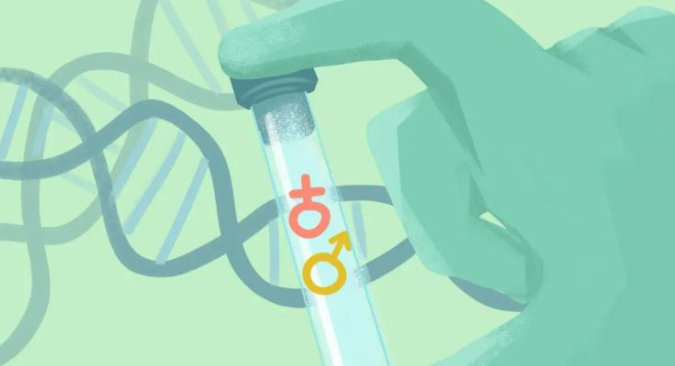 LOV好孕|关于使用LOV生殖三代试管选XY的介绍