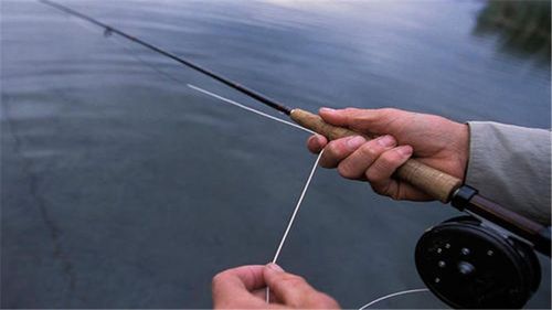 饵料|秋天钓鱼，一定要记得这5个调整以及策略