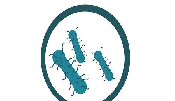 微生物 人死后，血液是如何变没的？最后流去哪了？这下知道答案了